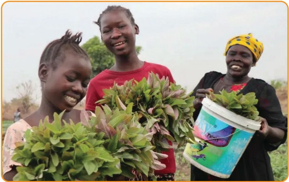 Women in South Sudan holding leafy greens